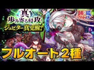 【クラフィ】団結クエスト 真・歩み寄る侵攻フルオート2種【Crash Fever】